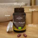 Mico-Polypor - Extrait pur & bio de Polyporus
