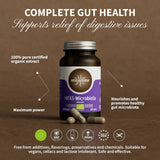Hifas-Microbiota