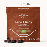 Mico-Chaga - Extrait pur & bio de Chaga