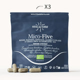 Mico-Five  - Extraits purs de Reishi, Shiitake, Maitake, Champignon du Soleil et Chaga