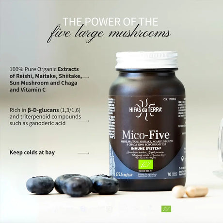 Mico-Five Pure extracts from Reishi, Shiitake, Maitake, Sun and Chaga Mushrooms