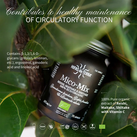Mico-Mix Extraits purs de Reishi, Shiitake et Maitake