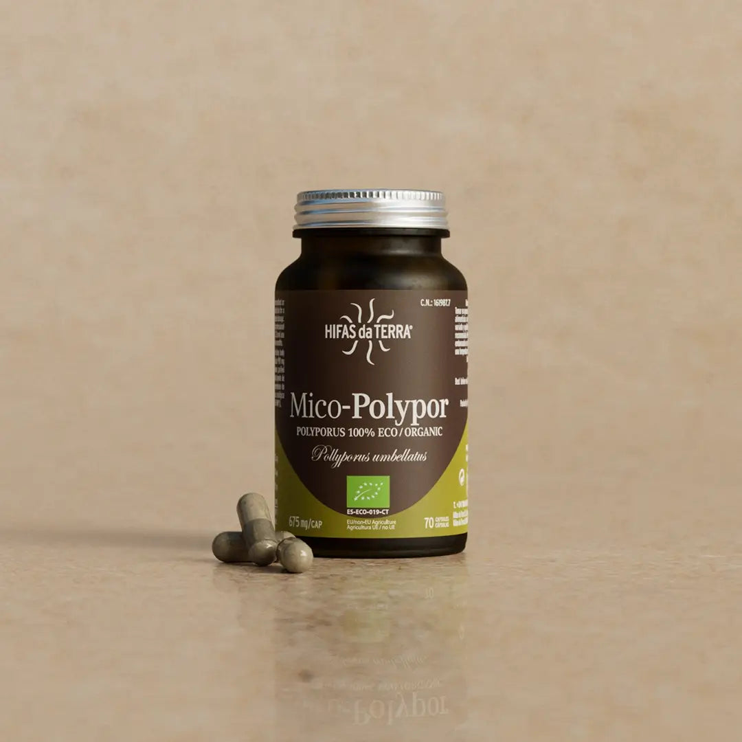 Mico-Polypor - Extrait pur & bio de Polyporus