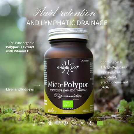 Mico-polypor Extraits purs BIO de Polyporus