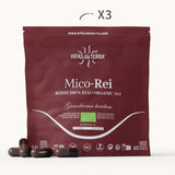 Mico-Rei - 100% Bio-Reishi-Kapseln