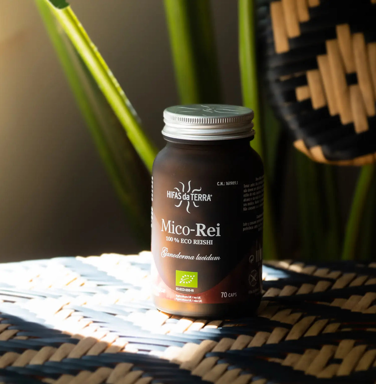 Mico-Rei - 100% Bio-Reishi-Kapseln