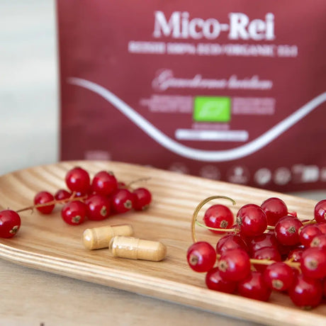 Mico-Rei - Extrait pur & bio de Reishi