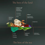 Nutricosmétique Optimum