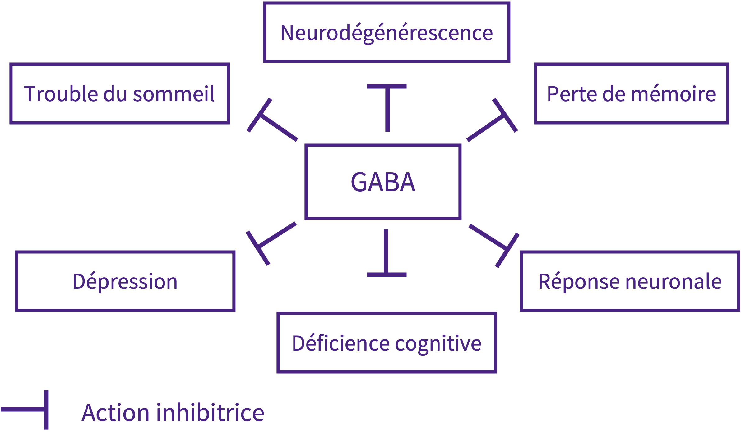 role de prévention GABA